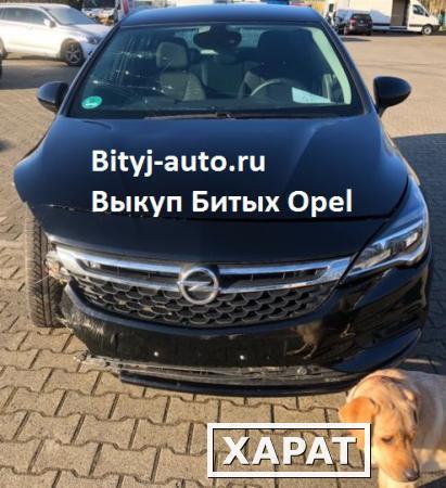 Фото Битый Опель Аварийные Opel выкуп по России