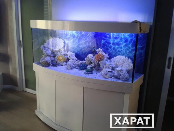 Фото Изготовление аквариумов на заказ