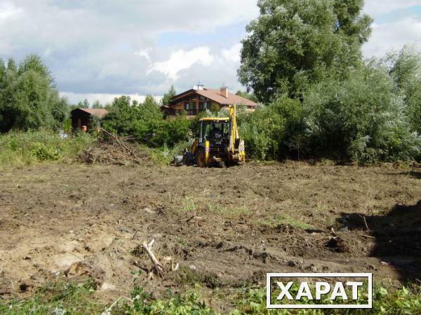 Фото Подготовка сада к сезону