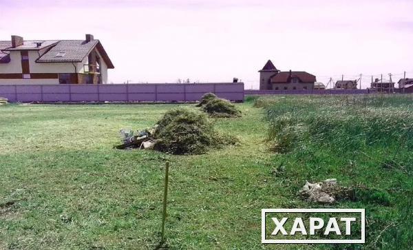 Фото Услуги по покосу травы кустарника