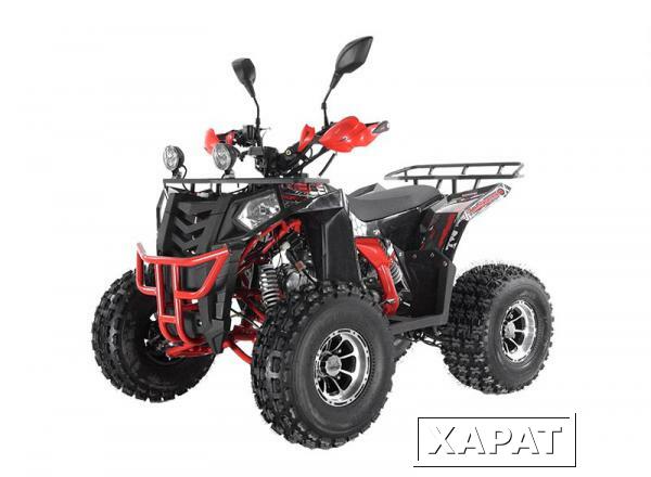 Фото Квадроцикл THUNDER EVO LUX X 125