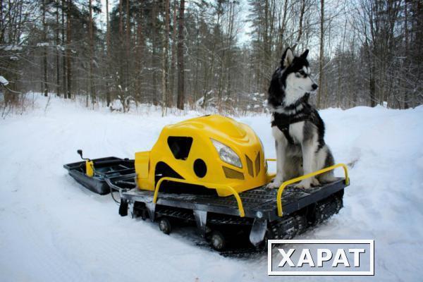 Фото Мотобуксировщик Ladoga 9 v с лыжами