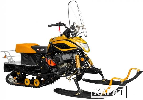 Фото Снегоход Irbis Dingo T150