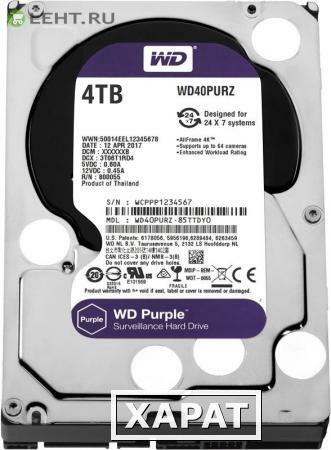 Фото HDD 4000 GB (4 TB) SATA-III Purple (WD40PURZ): Жесткий диск (HDD) для видеонаблюдения