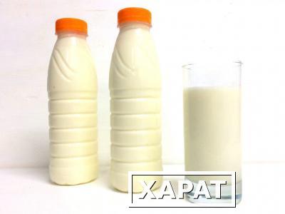 Фото Молоко питьевое пастеризованое