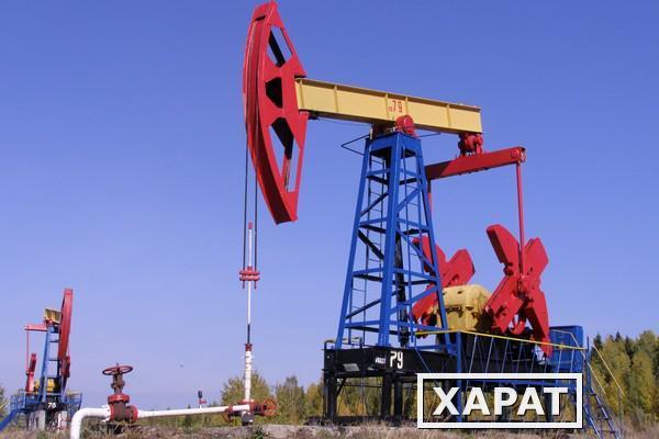 Фото Продаем сырую нефть