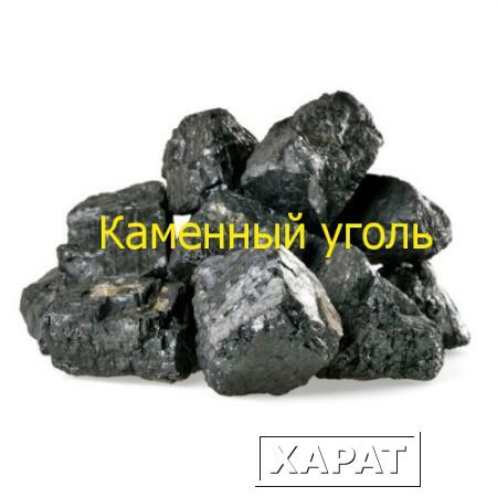 Фото Уголь каменный ДПК 50-200