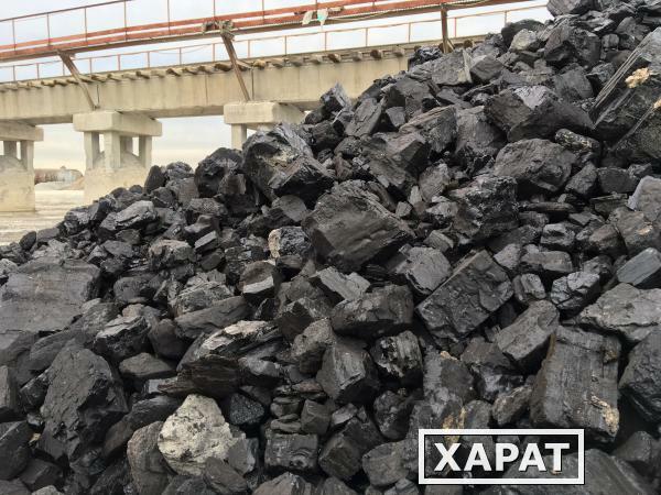 Фото Каменный уголь ДПК 50-200