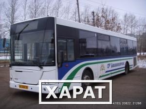 Фото Пассажирский автобус НефАЗ 52997-10
