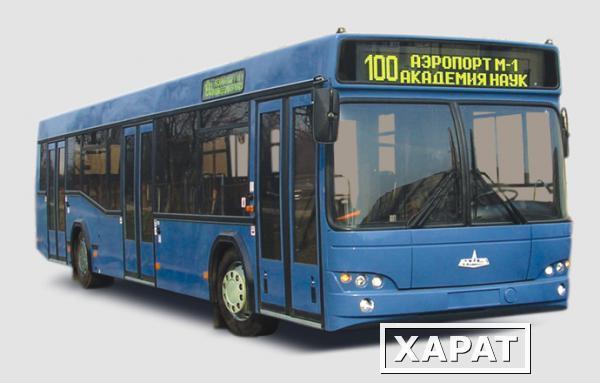 Фото Городской автобус МАЗ 103
