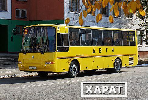 Фото Автобус КАВЗ 4238-65 школьный