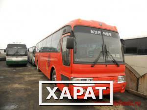 Фото Продам туристический автобус Kia Granbird Sunshine 2008 год.