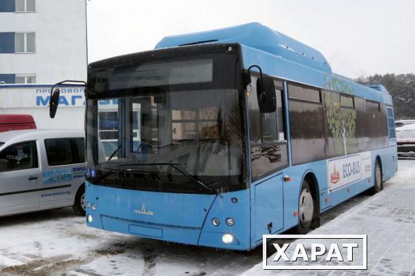 Фото Автобус МАЗ 203965