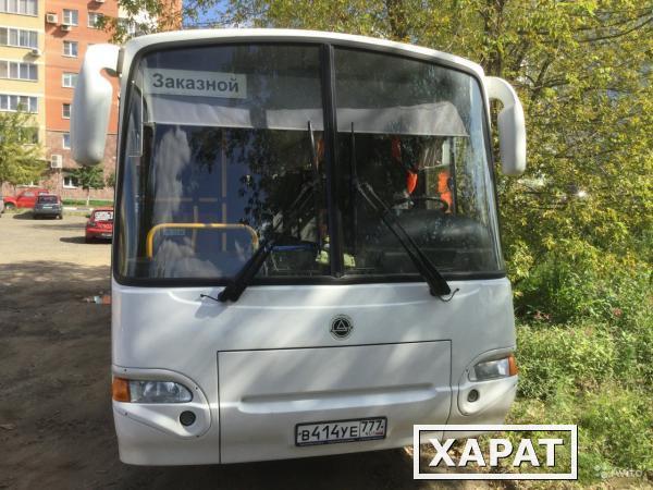 Фото Автобус КАВЗ 4238-41 "Аврора"