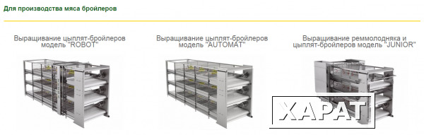 Фото Клеточное оборудование для отрасли птицеводства