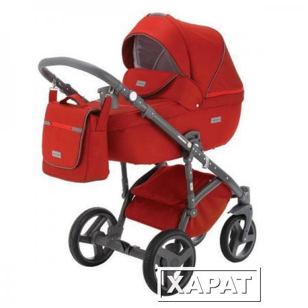 Фото Коляска 2в1 BeBe-Mobile Ravenna V13 кожа серая + красная