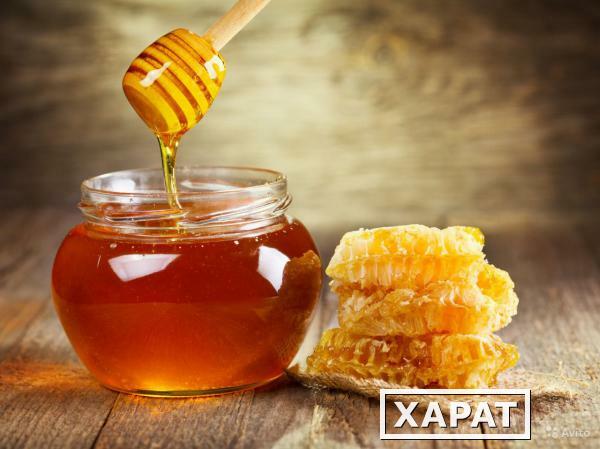 Фото Алтайский мёд высшего качества