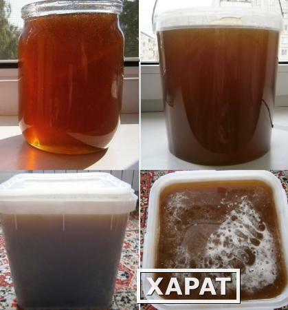Фото Алтайский мёд разнотравье натуральный зрелый вкусный 2018г своя пасека