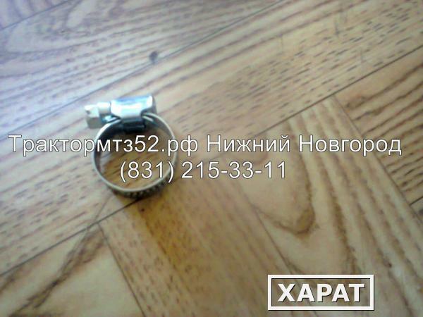 Фото Хомут ленточный 012-022 мм в Нижнем Новгороде