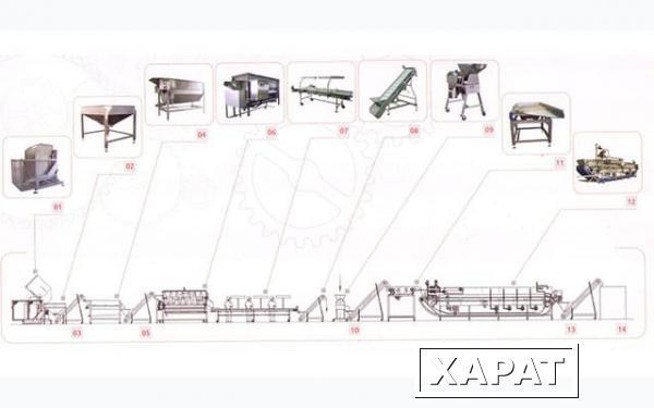Фото Линии переработки плодов и овощей "под ключ"