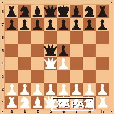 Фото Доска шахматная демонстрационная 80*80см