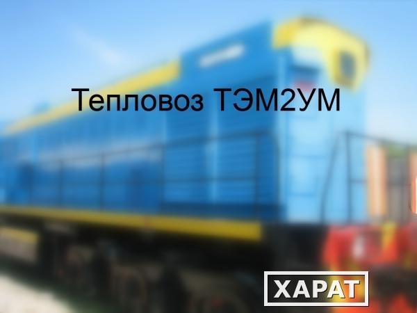 Фото Тепловоз ТЭМ2УМ