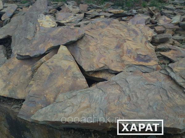 Фото Природный камень глинистый сланец "Дракон"