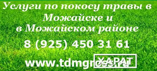 Фото Услуги по покосу травы в Можайске и Можайском районе.