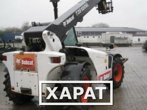 Фото Погрузчик Bobcat T35120