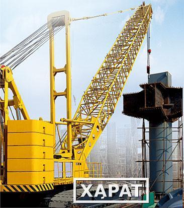 Фото Гусеничный кран XCMG QUY250