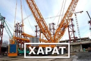 Фото Гусеничный кран LIEBHERR LR 1750 — cap 750 ton 2004 (5