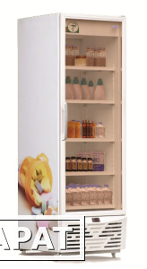 Фото Холодильник-шкаф фармацевтический для хранения лекарственных препаратов ХШФ -"ЕНИСЕЙ-500"-3