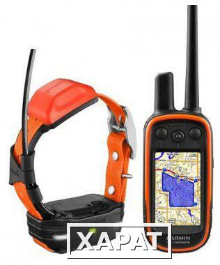 Фото GPS ошейник для собак Alpha 100/T5 Европа