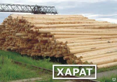 Фото Деревянные опоры ЛЭП пропитанные 6 м Новосибирск в наличии