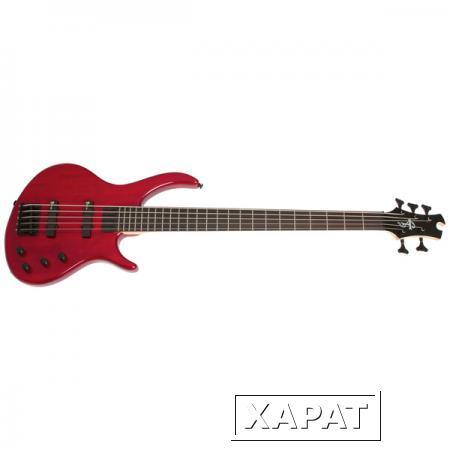 Фото Бас-гитара Epiphone Toby Deluxe V Bass Translucent Red