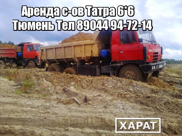 Фото Полноприводный самосвал Татра 815 2 шт и более