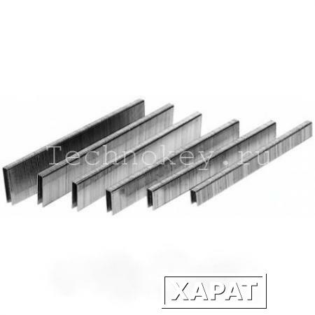 Фото Metabo Скобы тип 80 CNK длина 14мм (3000 шт.) для KG80/16 0901053898