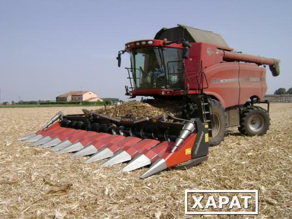 Фото Жатки для уборки кукурузы DOMINONI(Италия)