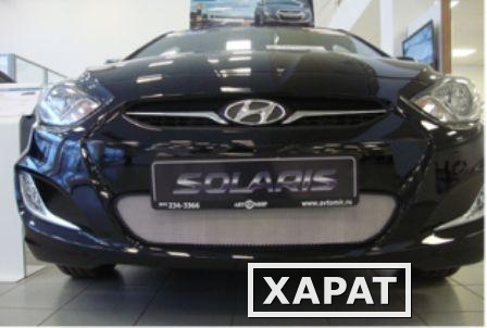 Фото Защитно декоративная сетка на Hyundai Solaris