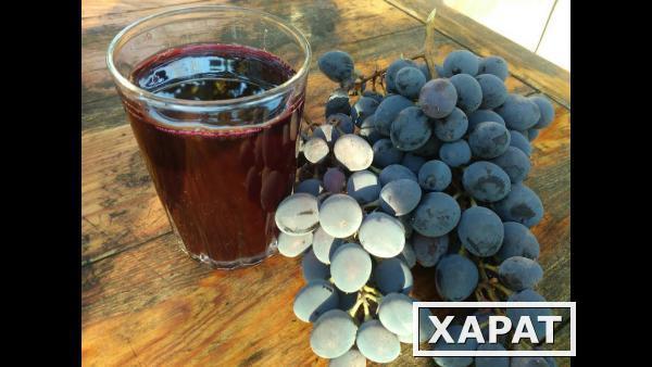Фото Натуральный виноградный сок из редчайшего сорта Московский черный