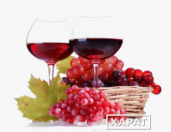 Фото Виноградный сок из винограда Зилга