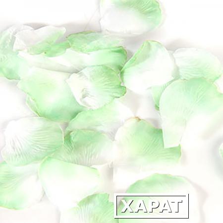 Фото Бело-зеленые лепестки