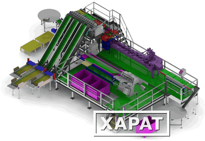 Фото Линии переработки овощей и фруктов