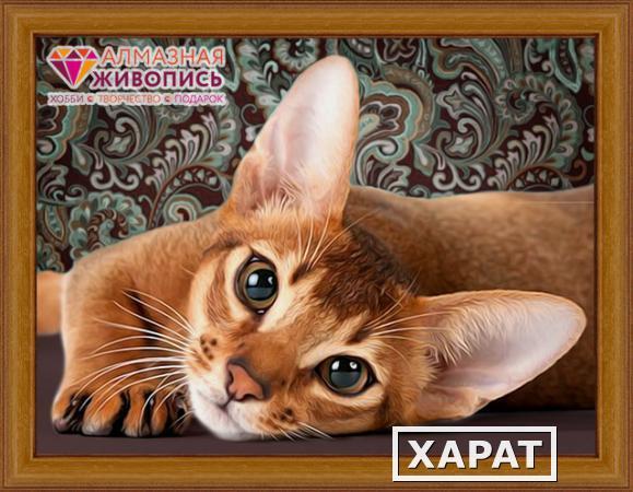 Фото Алмазная мозаика АЛМАЗНАЯ ЖИВОПИСЬ АЖ-1458 Абиссинская кошка