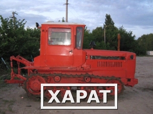 Фото Трактор гусеничный ДТ-75 ДЕС 3 Год производства: 2008