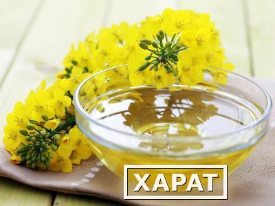 Фото Продаем мед с личной пасеки Краснодарский край