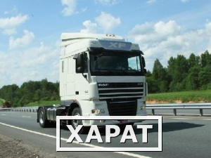 Фото Седельный тягач DAF FT XF105.410 «Apex»