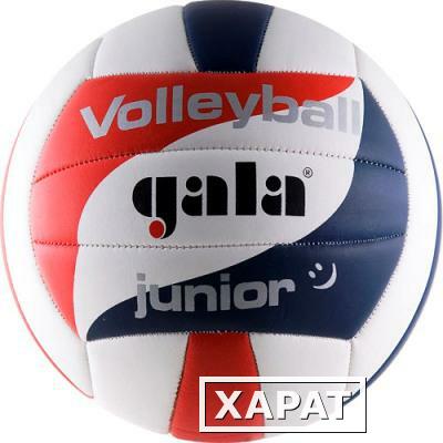 Фото Мяч волейбольный Gala Junior