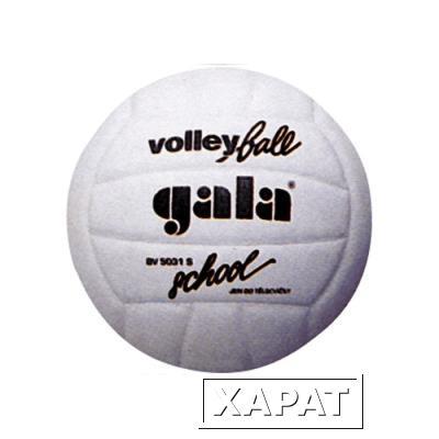 Фото Мяч волейбольный Gala School Foam