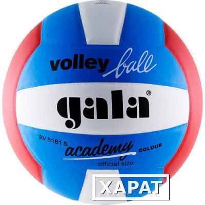 Фото Мяч волейбольный Gala Academy BV5181S